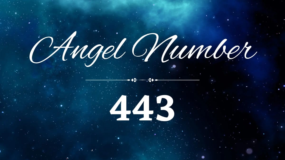 443 Angel Number