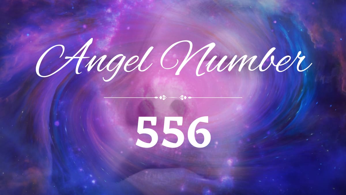 556 angel number, 556 angel number meaning, 556 angel number twin flame, 556 angel number meaning love, 556 angel number twin flame reunion, 556 angel number love,